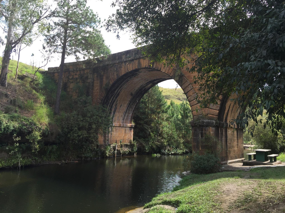 Ponte dos Papagaios景点图片