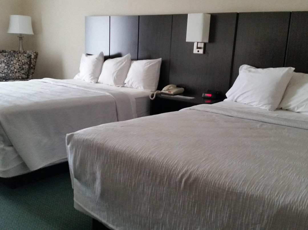 Gold Vault Inn主图