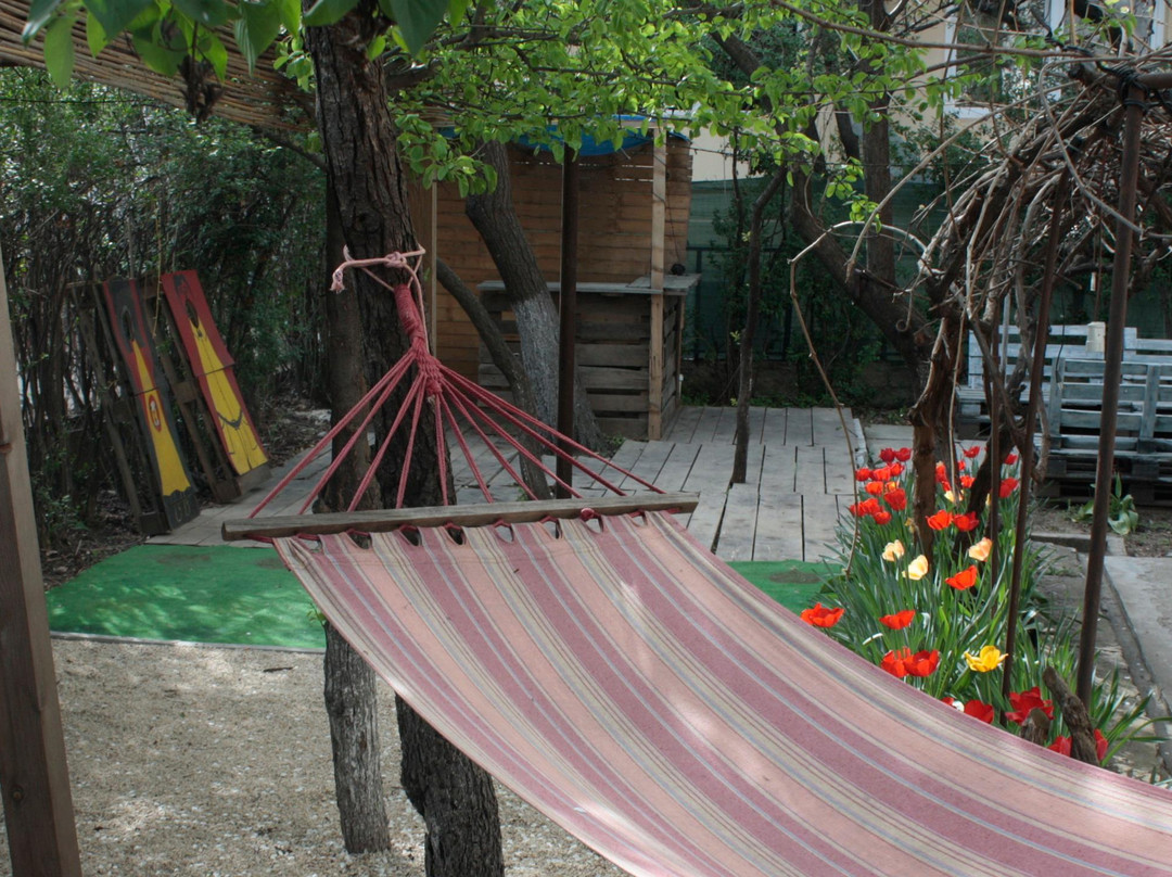 Buffalo Backpackers Hostel