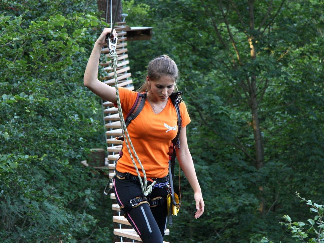 Kletterwald Munich景点图片