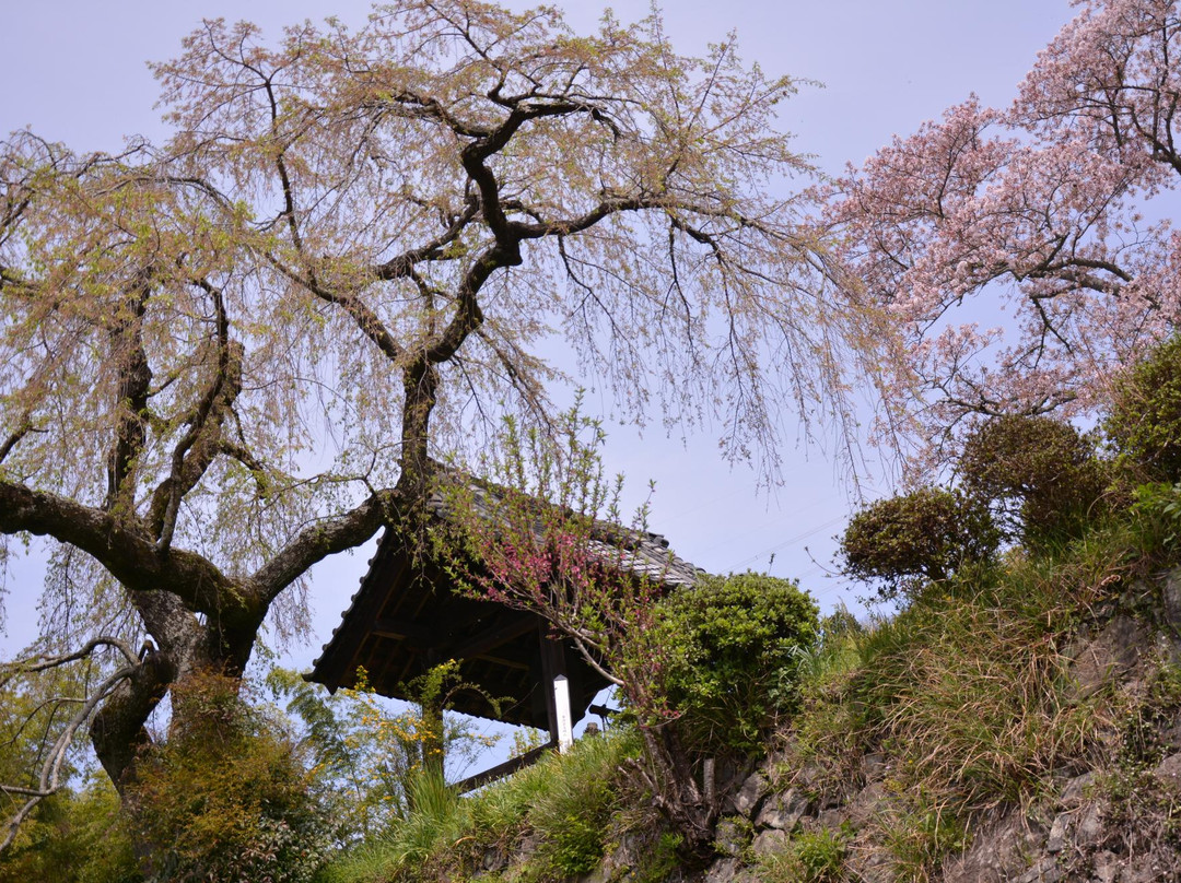 Jizozenin Temple-井手町必去景点