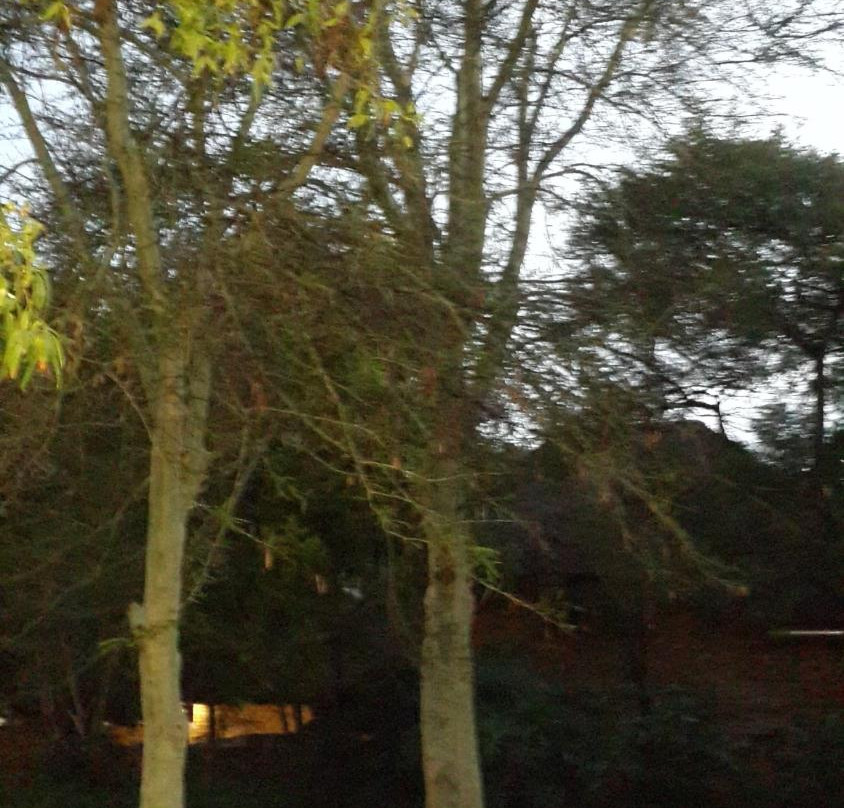 Alexandra酒店住宿-Khaya Africa