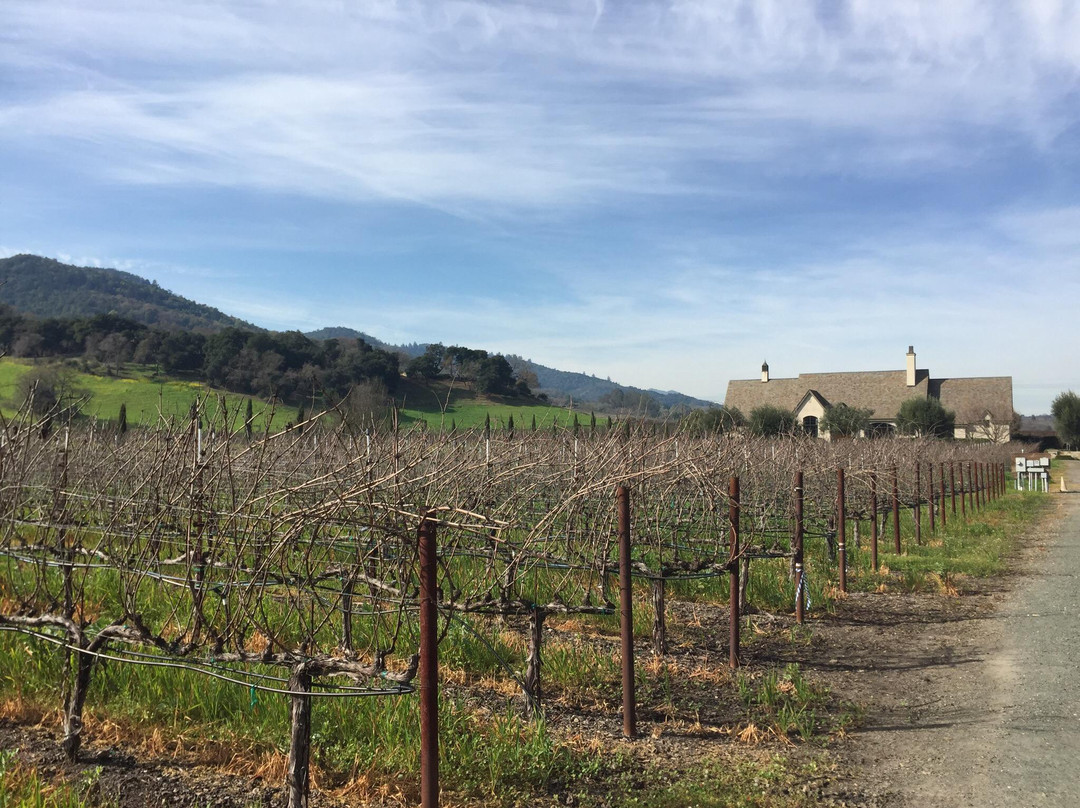 Elyse Winery景点图片