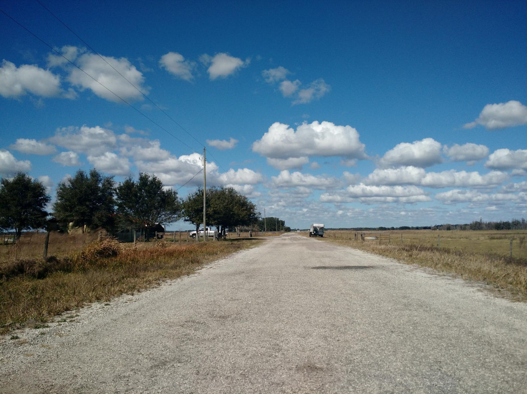 Florida Estates Winery-Land O Lakes必去景点
