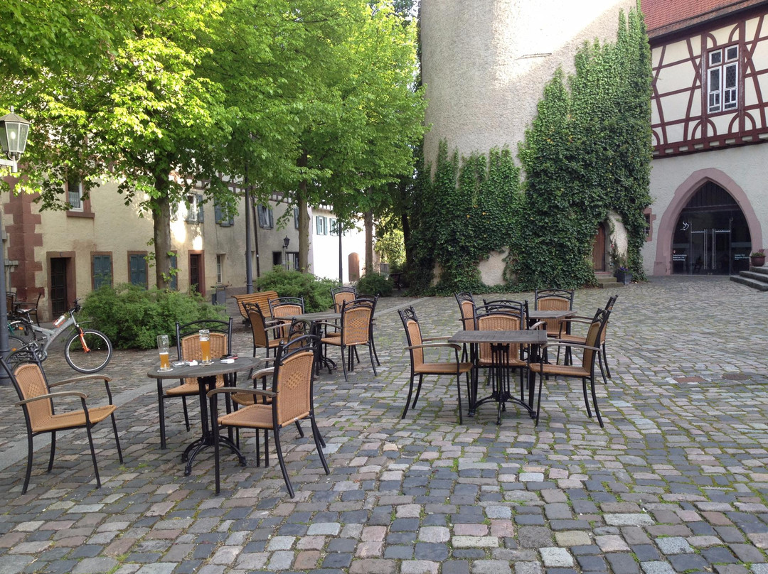 Castle Kurmainzisches景点图片
