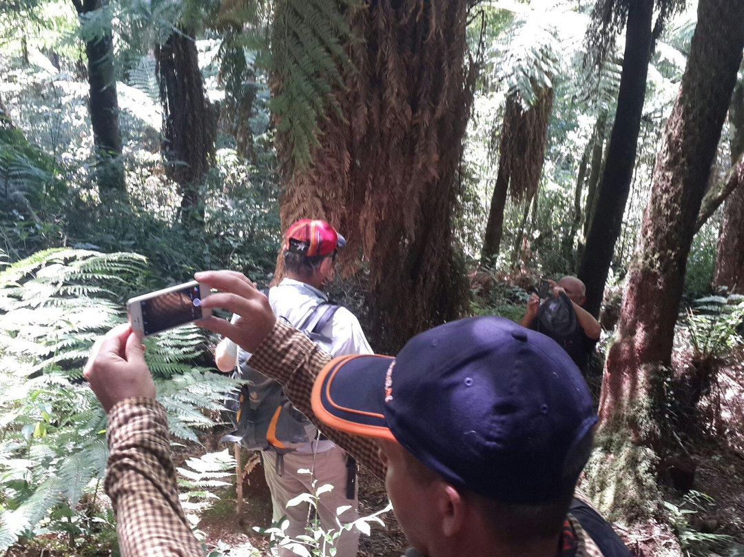 Jukumari Tours - Day Tours-Samaipata必去景点