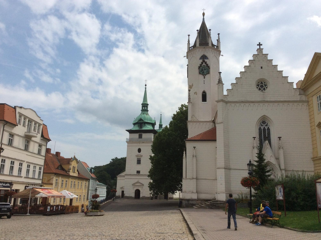 Regionální Muzeum V Teplicích景点图片