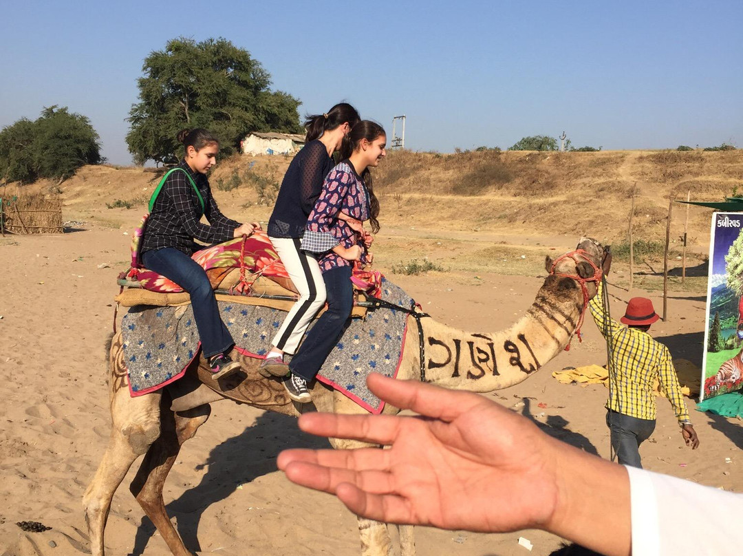 Narmada Park-Bharuch必去景点