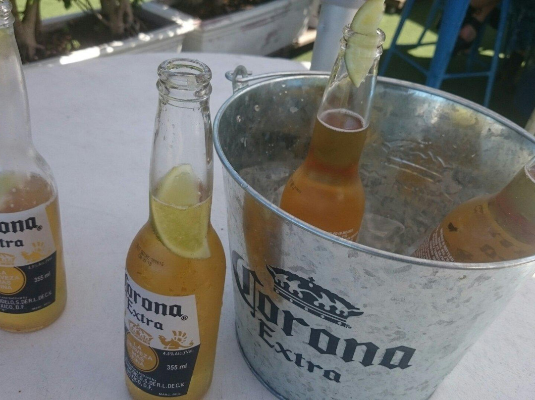 The Island Bar-鹦鹉岛必去景点