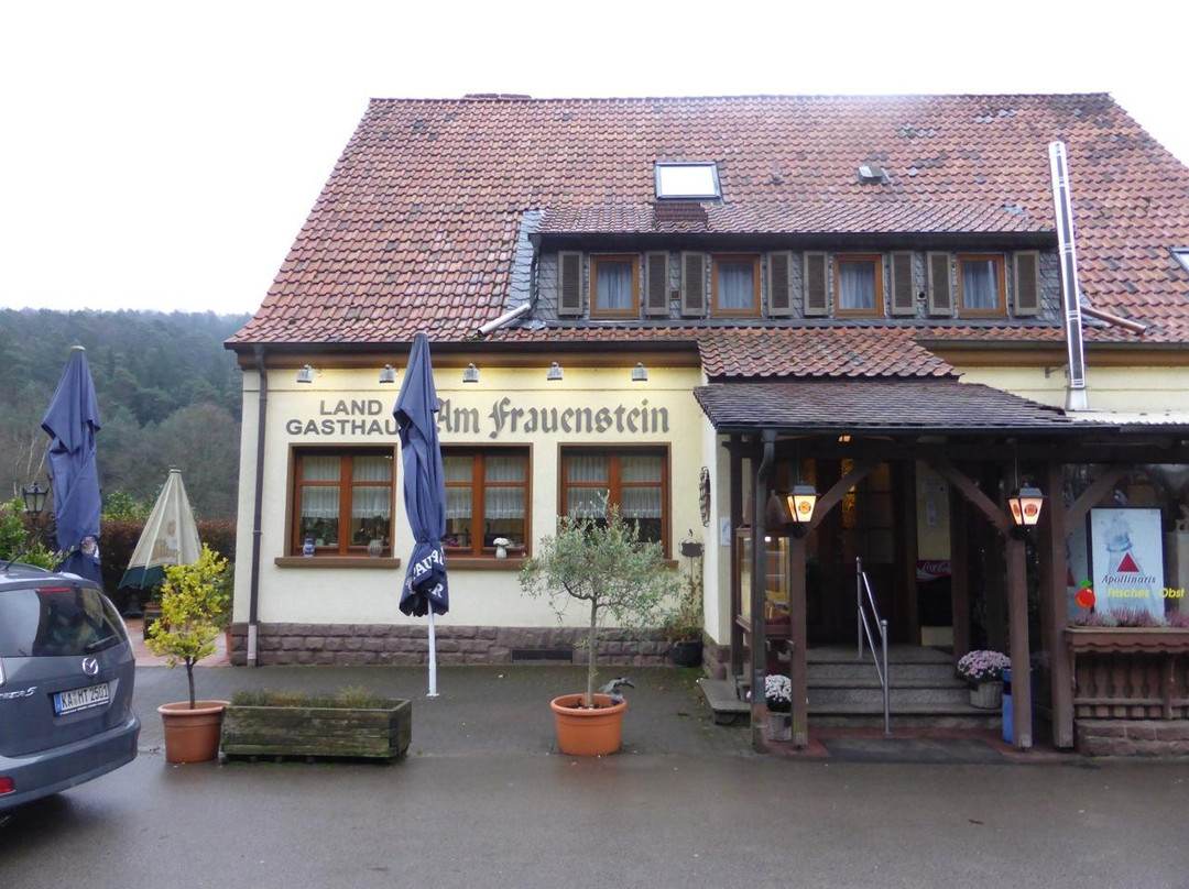 Hinterweidenthal餐馆和美食-Landgasthaus Am Frauenstein