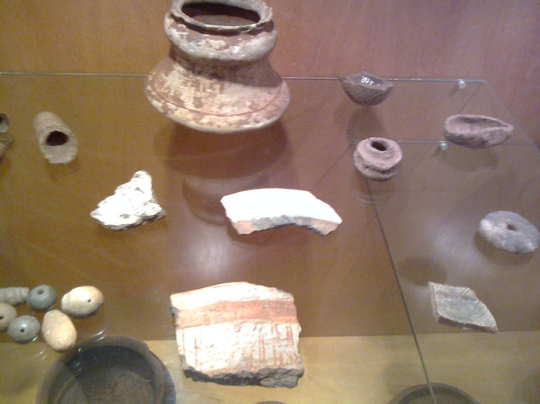 Antropologico Diretor Pestana Museum景点图片