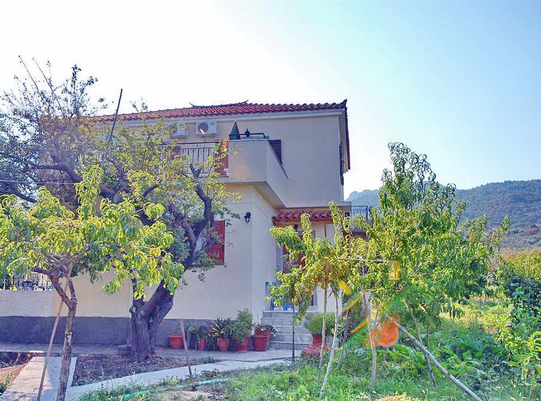 Vassilis Studios主图