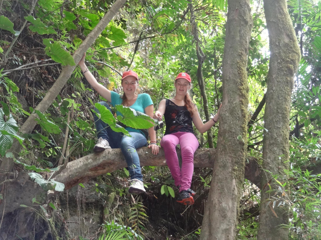 Trenes Turisticos en Ecuador景点图片