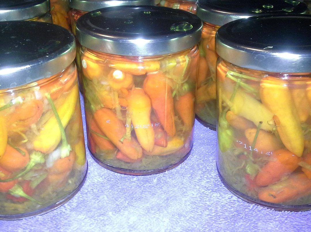 Eleuthera Island Farm-伊柳塞拉必去景点