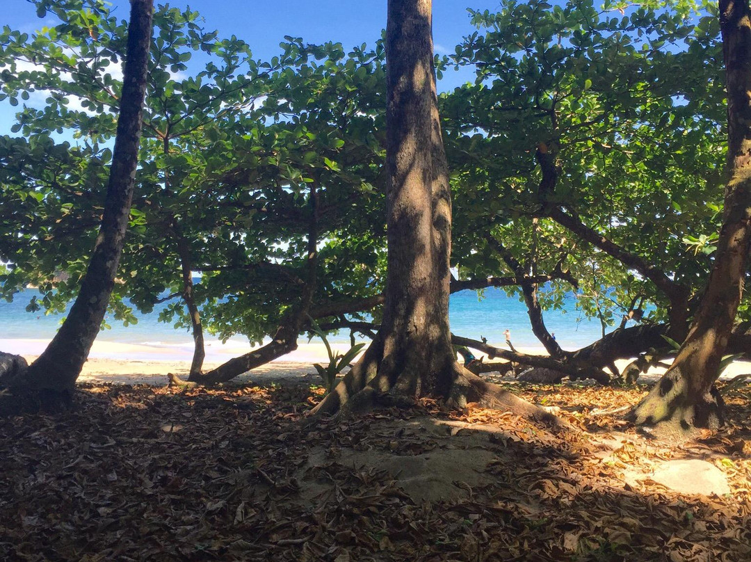 Playa Cocles景点图片