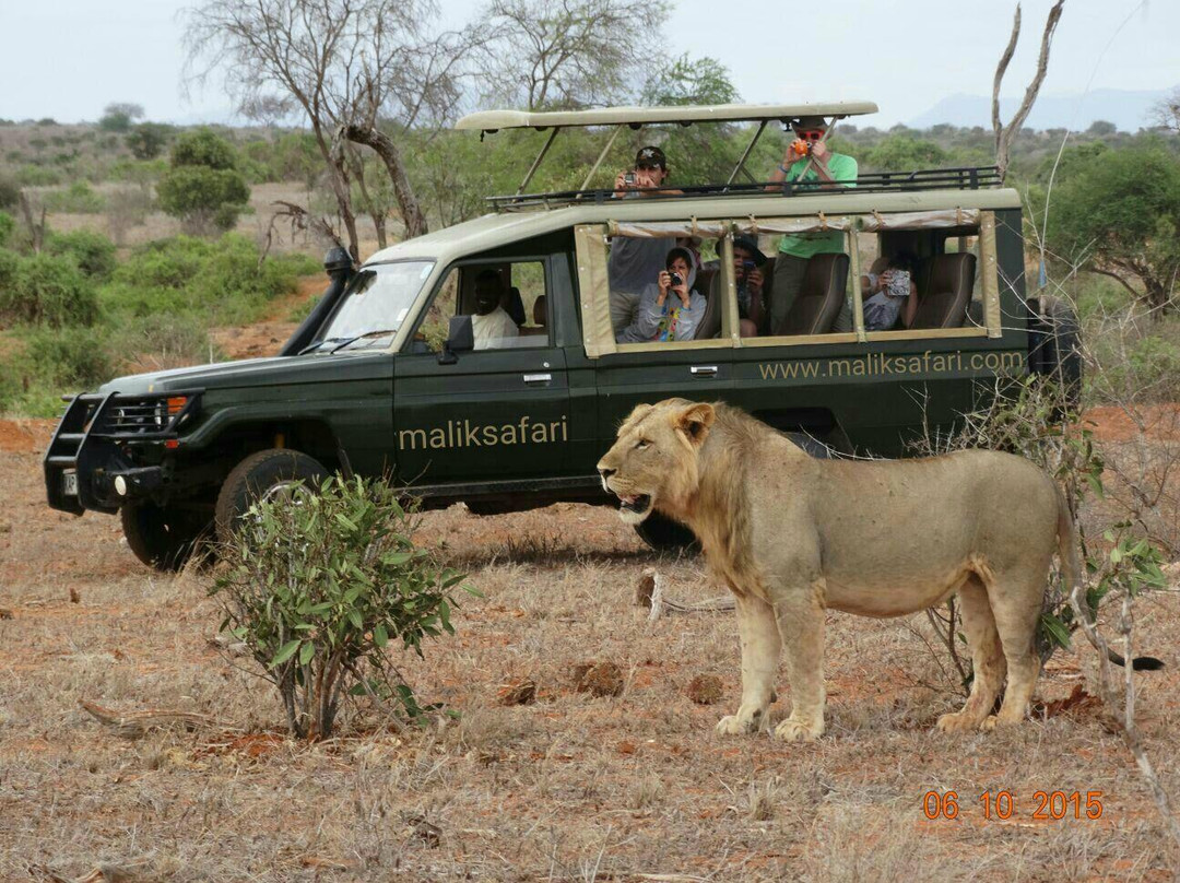 Malik Safari-马林地必去景点