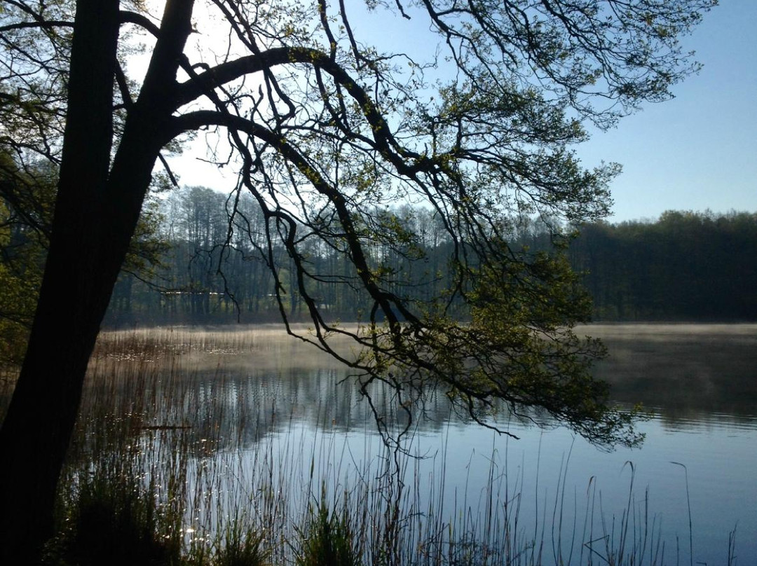 Schorfheidekeramik-Schorfheide必去景点