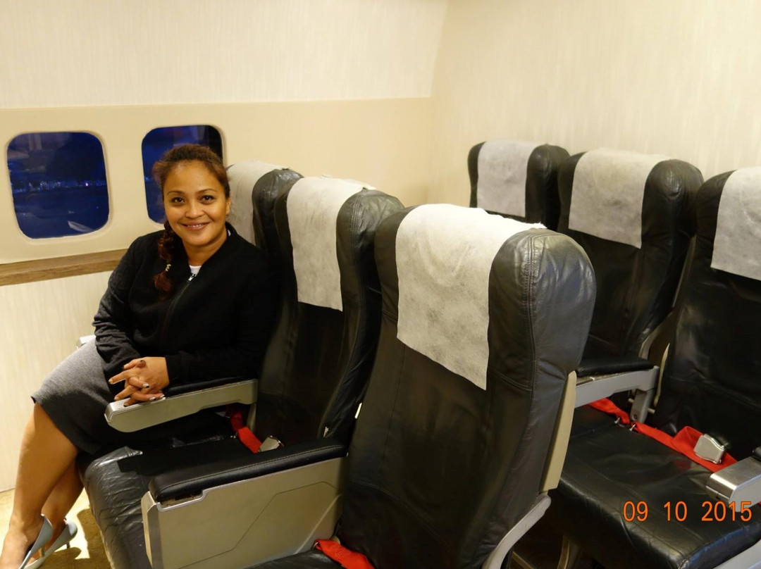 Kampung Subang Baru旅游景点-Aviax - Aviation Experience Flight Simulator