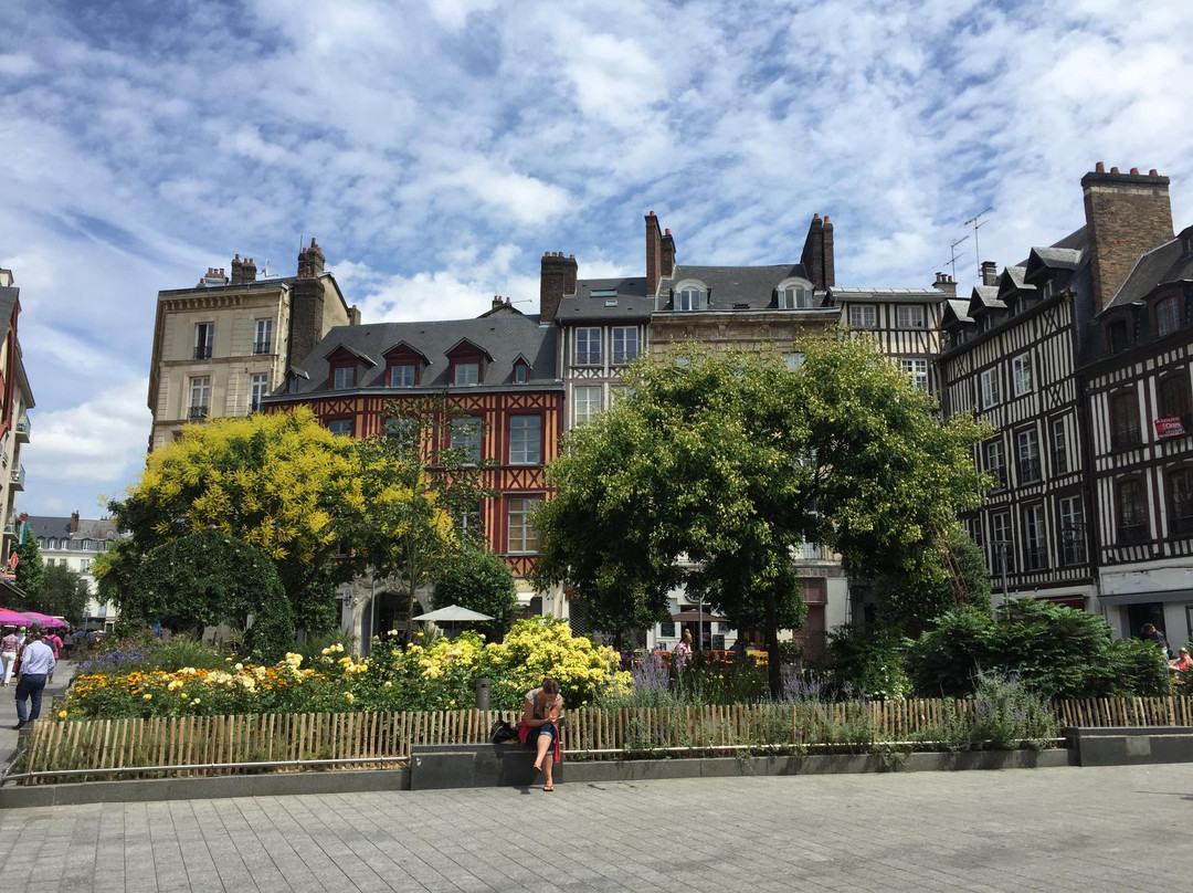 Place de la Pucelle景点图片