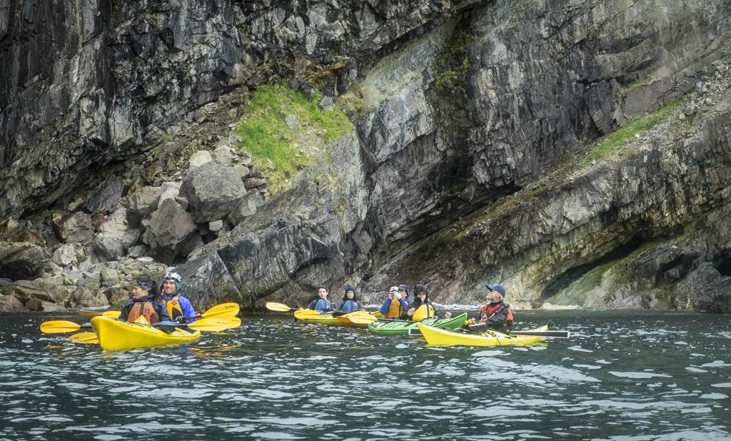 The Outfitters Adventures-Bay Bulls必去景点