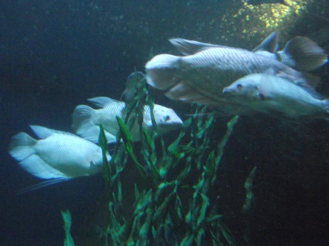 新澳海底世界-秦皇岛市必去景点