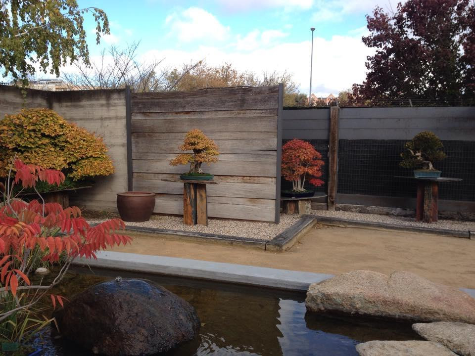 Museo Bonsai Luis Vallejo-阿尔科文达斯必去景点