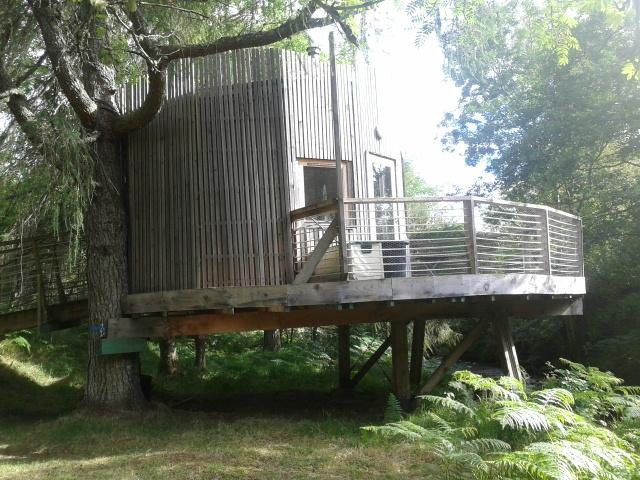 The Tree House景点图片