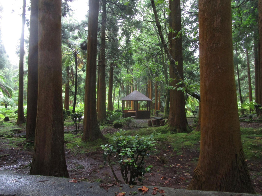 Parque Florestal das Sete Fontes-Sao Jorge必去景点