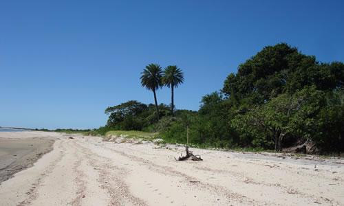 Barra Nova Beach-Caravelas必去景点