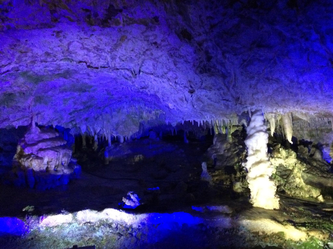 Great Limestone Cave of Hida and Ohashi Collection Museum景点图片