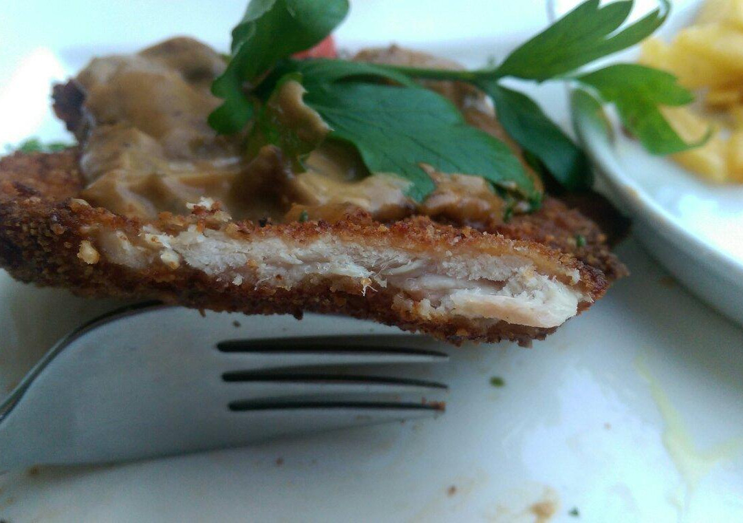 Oberursel (Taunus)酒店住宿-Landgasthof zur Sonne