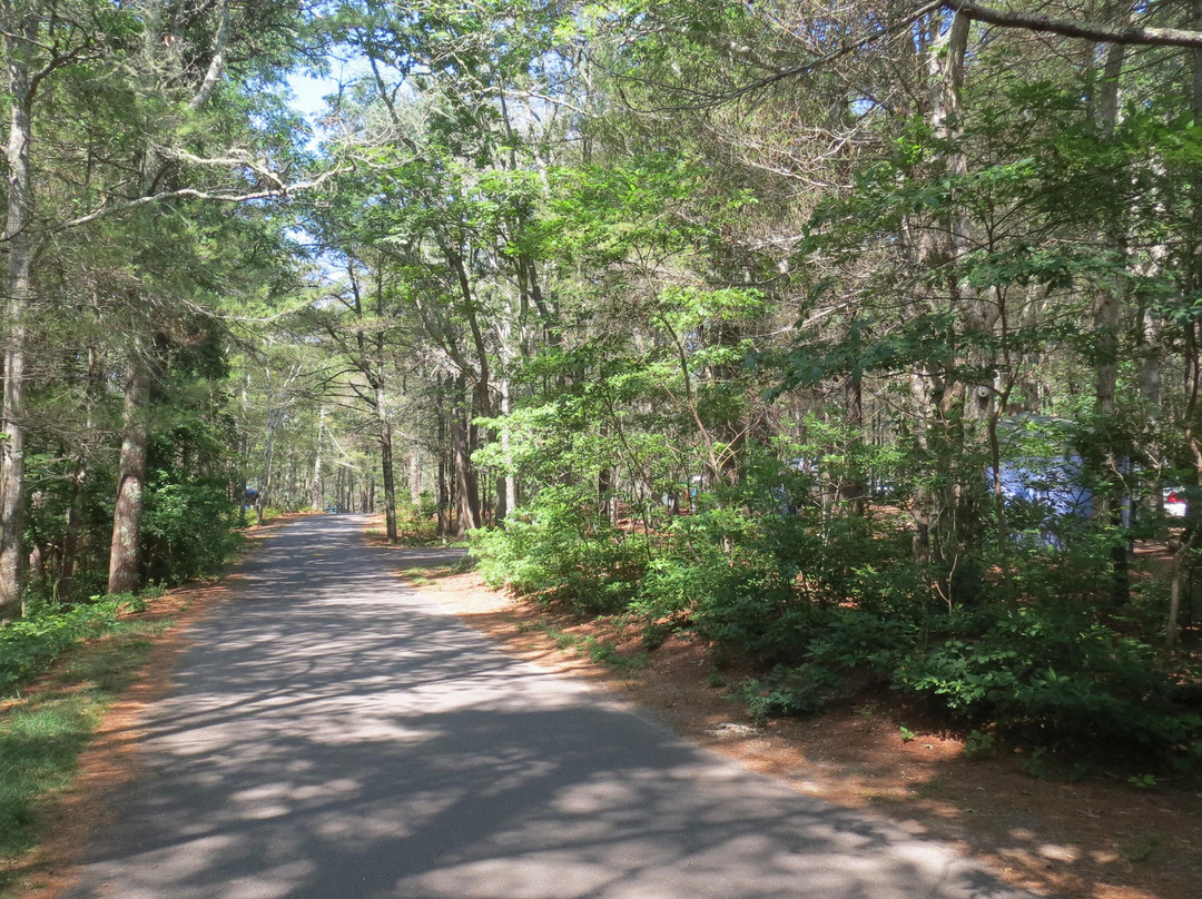Shawme-Crowell State Forest景点图片