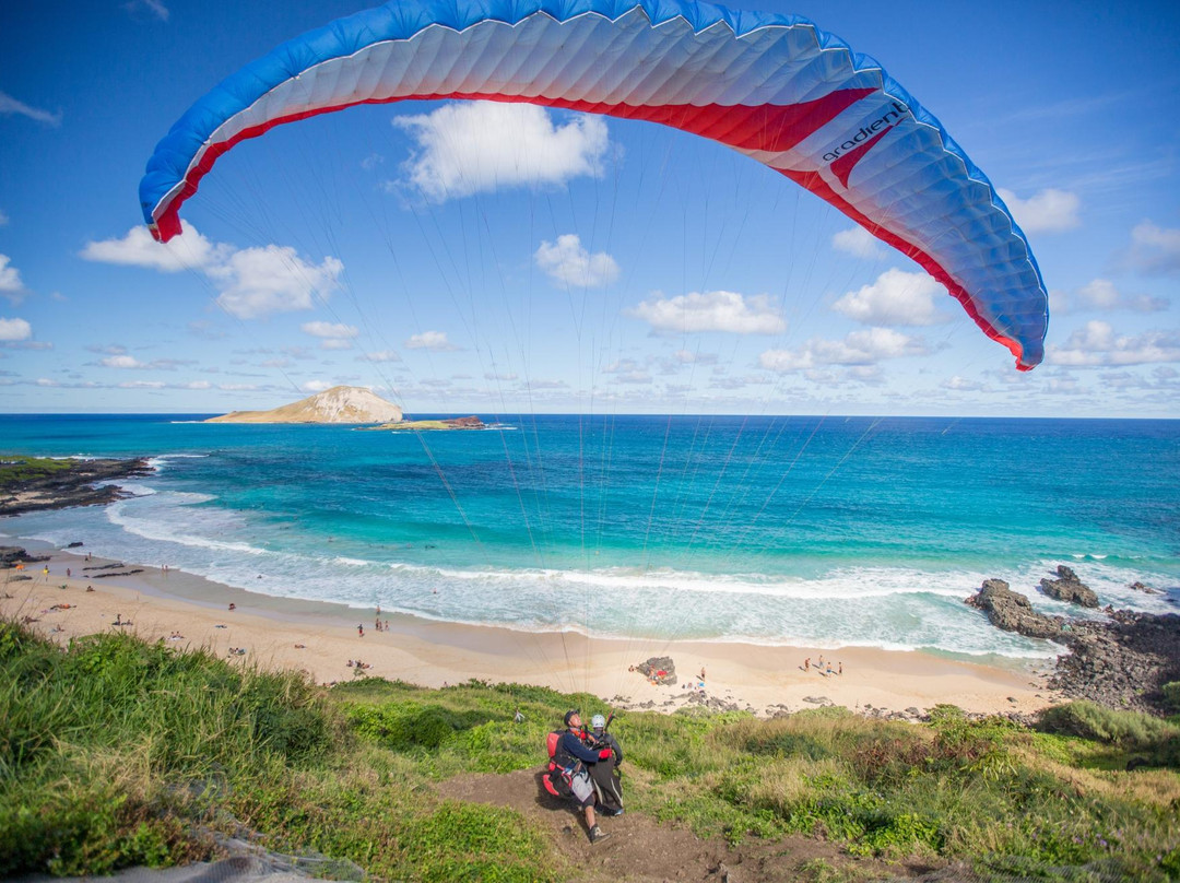 O'ahu Hawaii Tandem Paragliding-威玛纳诺必去景点