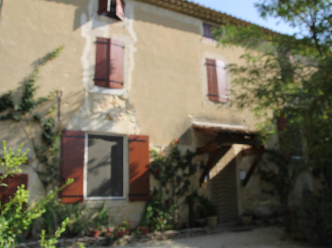 Saint-Paul-Trois-Chateaux旅游攻略图片