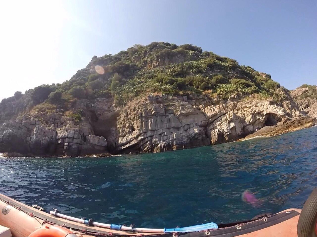 Isola Gallinara Tour-Andora必去景点