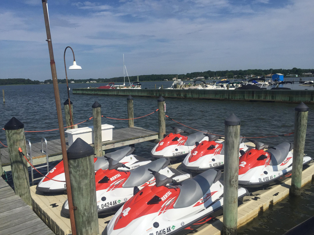 Dewey Beach Watersports-Dewey Beach必去景点