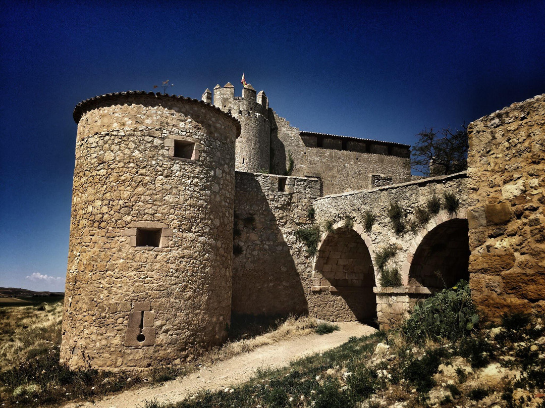 Almenar de Soria Castle景点图片