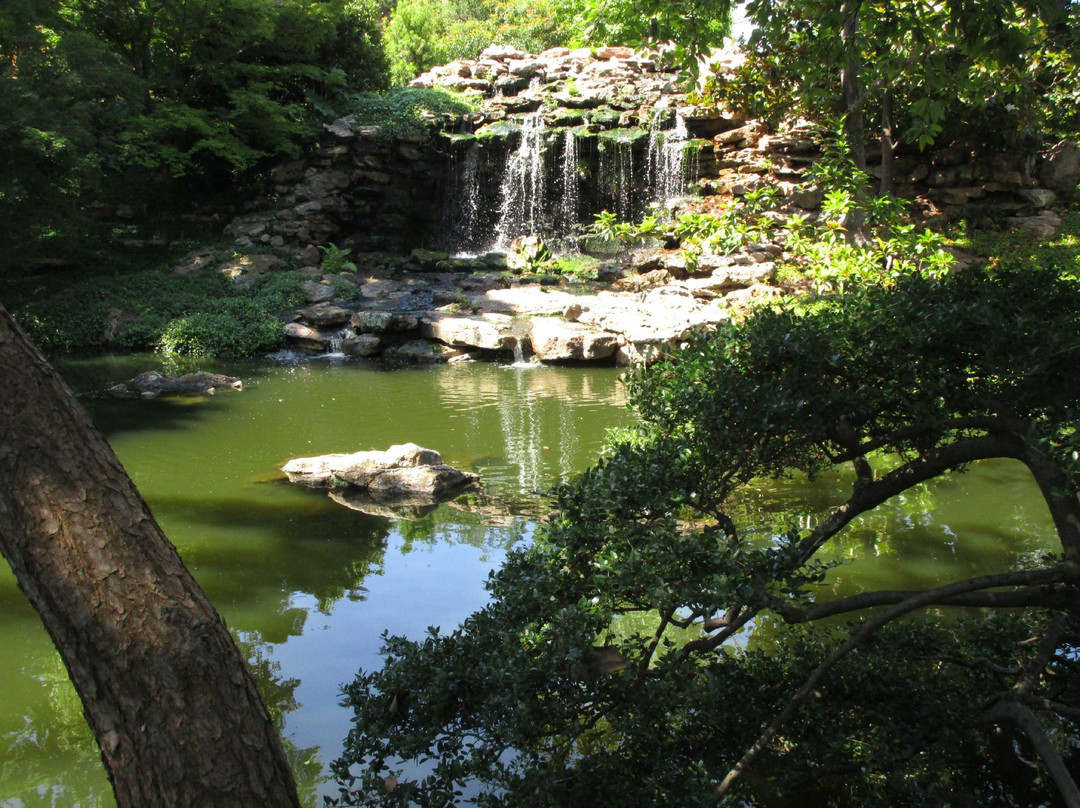 Fort Worth Japanese Garden-沃思堡必去景点