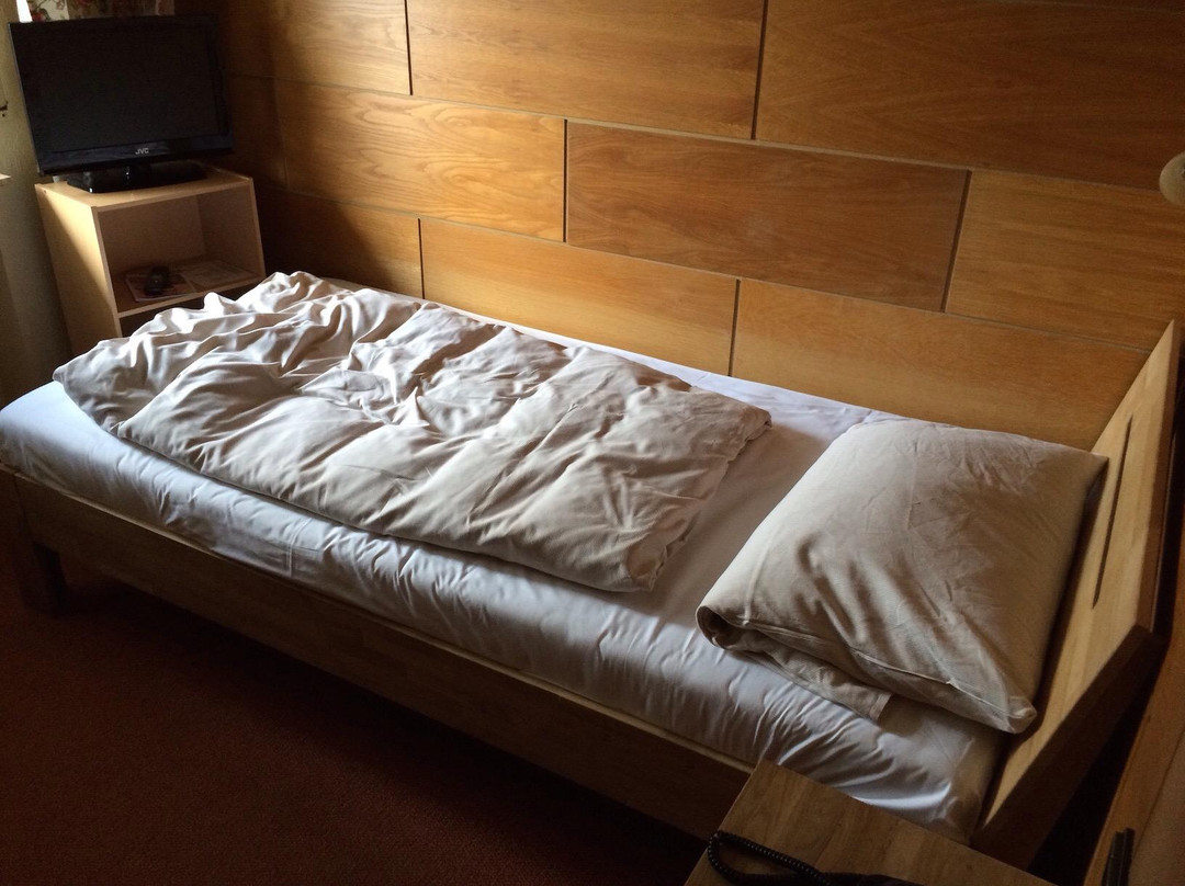 Hotel am Hechenberg主图