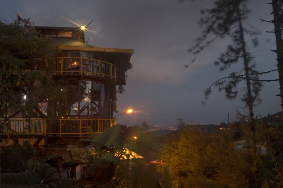 Felidia餐馆和美食-Las Neblinas