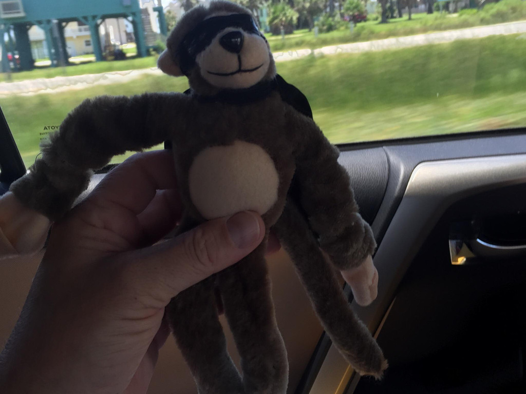 Kite's and Flagpoles Unlimited-盖维斯顿必去景点