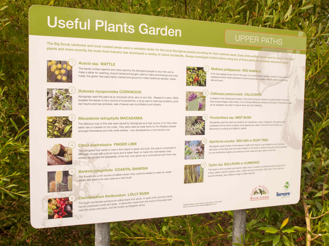 Lismore Rainforest Botanic Gardens-利斯莫尔必去景点