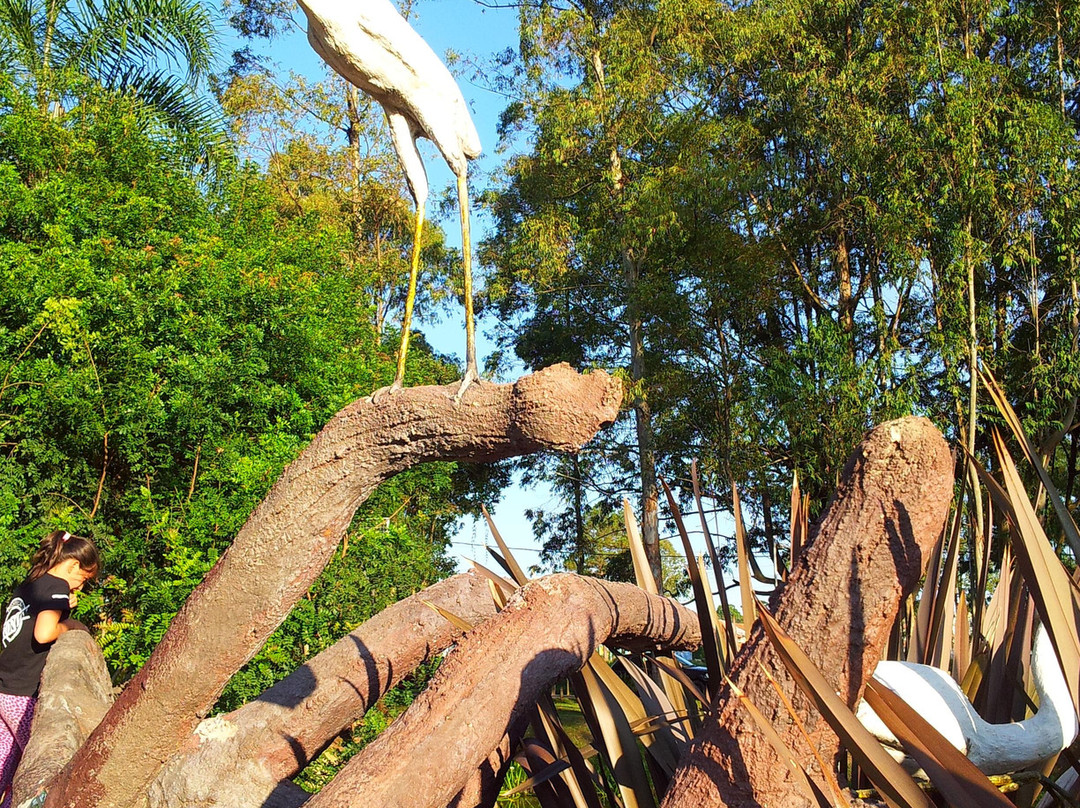 Parque Municipal São José dos Pinhais景点图片