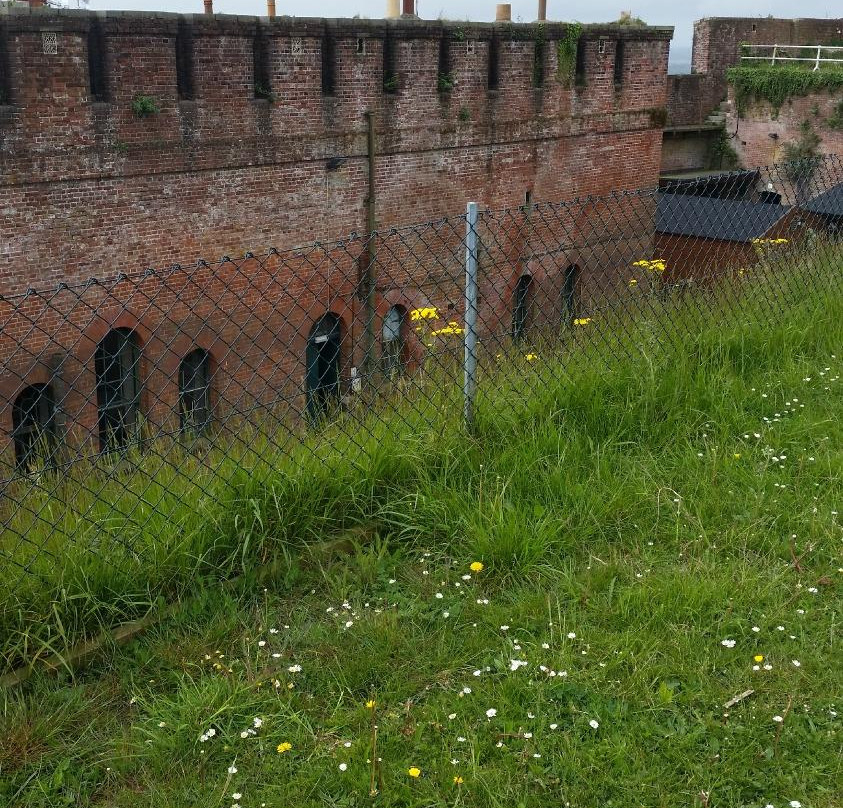 Fort Widley Equestrian Centre-普兹茅斯必去景点