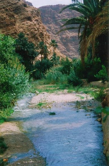 Chez Aissa Day Tours-廷吉尔必去景点