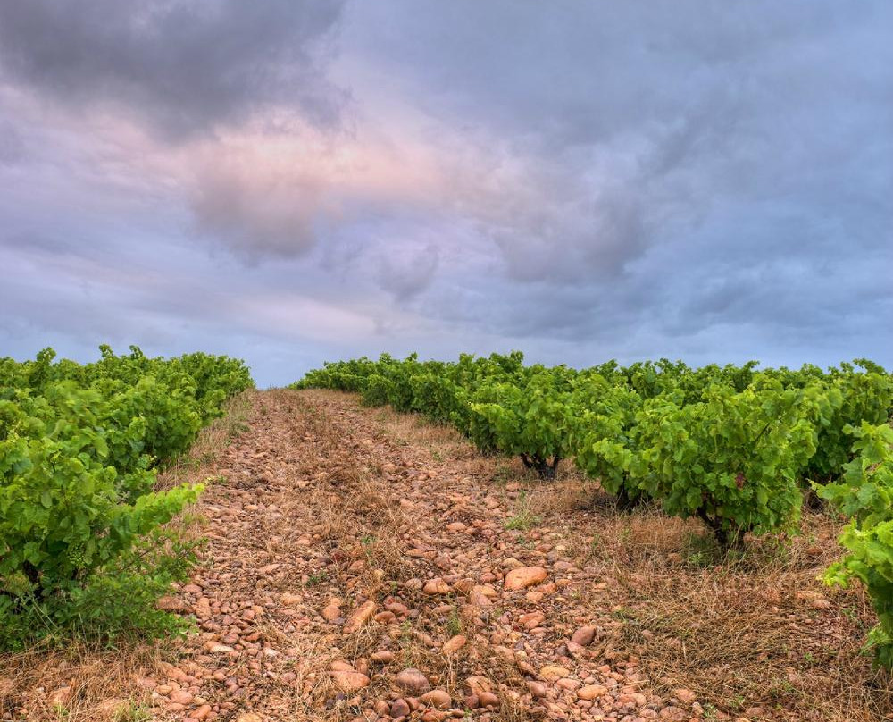 Sijnn Winery-Malagas必去景点