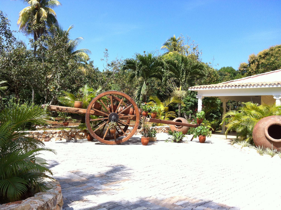 Villa Carmen Agroturismo B&B