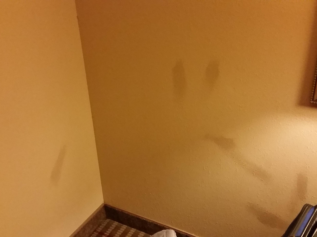 DoubleTree by Hilton Sulphur Lake Charles主图