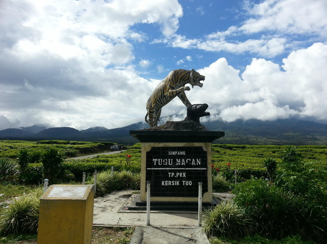 Kerinci Seblat National Park-West Sumatra必去景点
