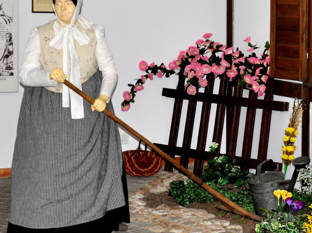 Muzeum Bambrow Poznanskich-波兹南必去景点